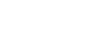 ActionCOACH Business Coaching Logo